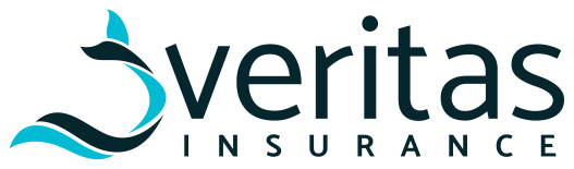 Veritas Insurance Group homepage